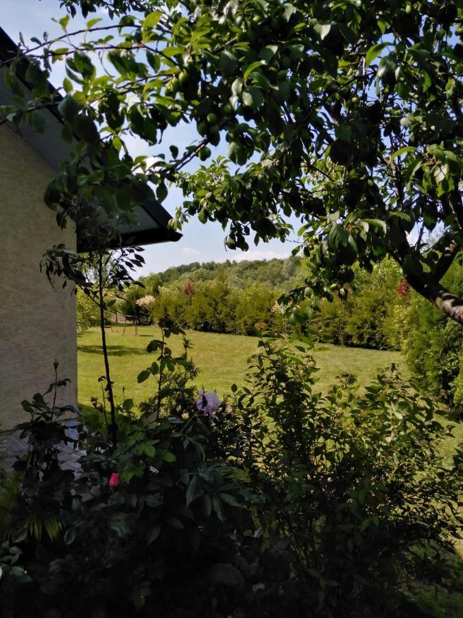 Casa Mamei سوتْشافا المظهر الخارجي الصورة