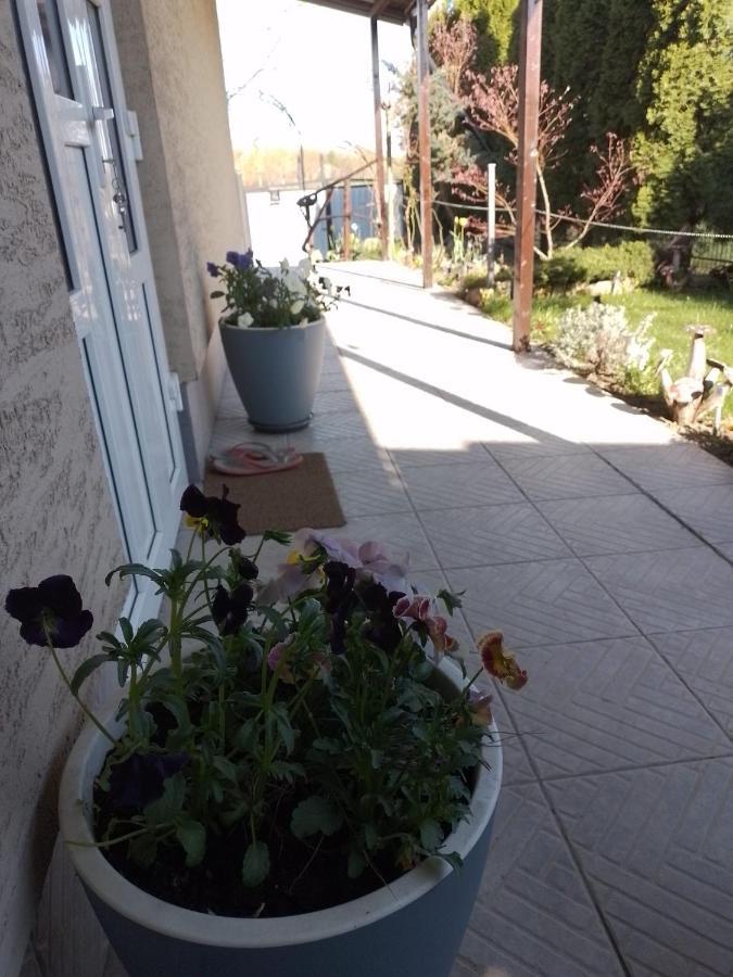 Casa Mamei سوتْشافا المظهر الخارجي الصورة